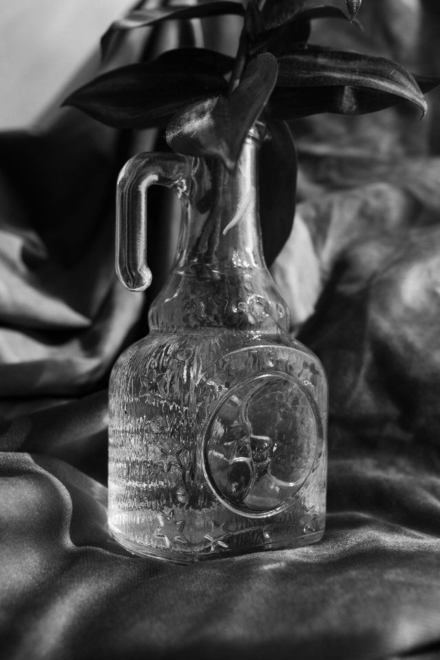 Boutures Astrales 🌙 Vase soleil/lune + bouture misère