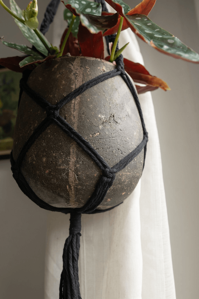 Plant Hugger🦇 Suspension Macramé Noir