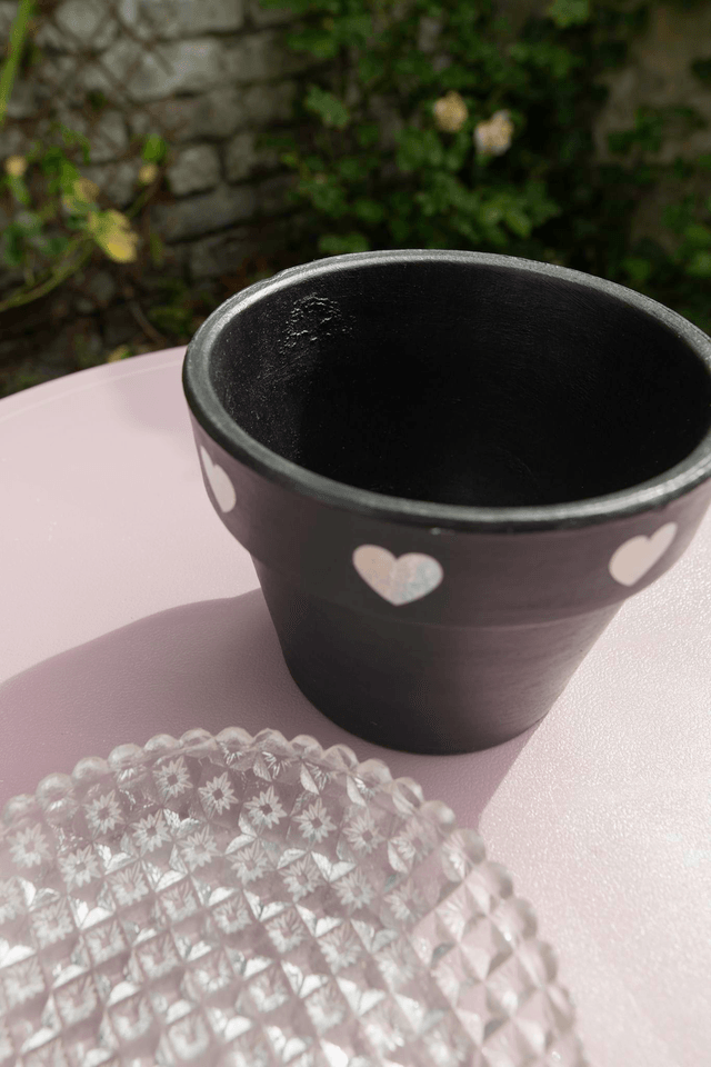Cosmic Goth 🖤 Pot + Plante + Soucoupe