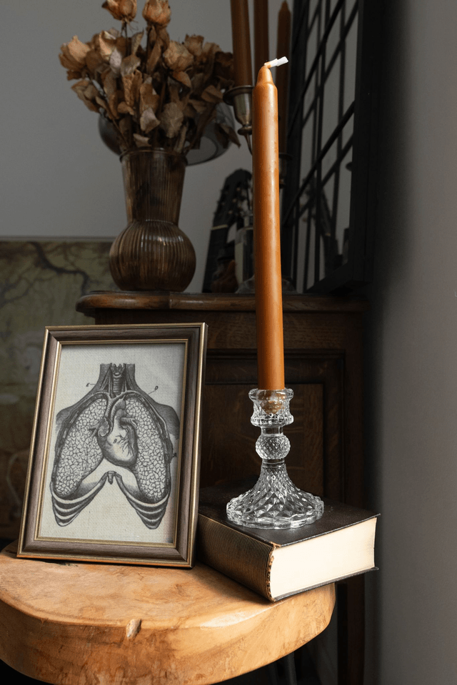 Chandelier en verre 🕯️ 