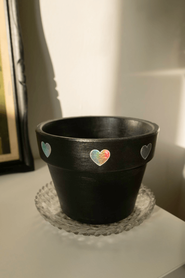 Cosmic Goth 🖤 Pot + Plante + Soucoupe