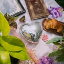 Plantes d’intérieur, pots peints et déco revalorisée à Lille. Jardin Hystérique : entre goth et dopamine, pour des intérieurs vivants.